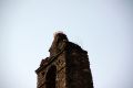2010 06 30 jeanmarcperfetti.com 025.JPG